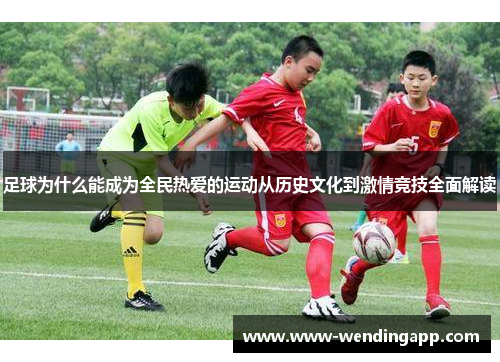 足球为什么能成为全民热爱的运动从历史文化到激情竞技全面解读
