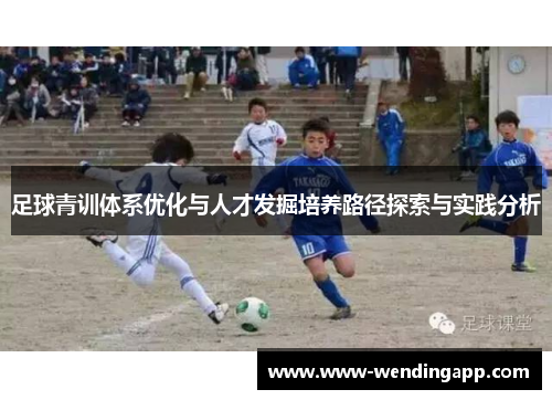 足球青训体系优化与人才发掘培养路径探索与实践分析