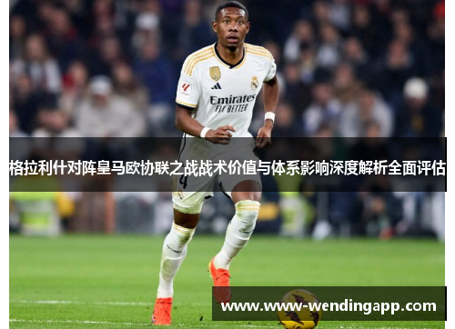 格拉利什对阵皇马欧协联之战战术价值与体系影响深度解析全面评估 格拉利什对阵皇马欧协联之战战术价值与体系影响深度解析全面评估